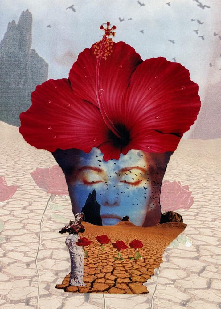 Corbeau blanc réalisé en collage papier, œuvre artistique contemporaine de Giwhizart, univers poétique et symbolique