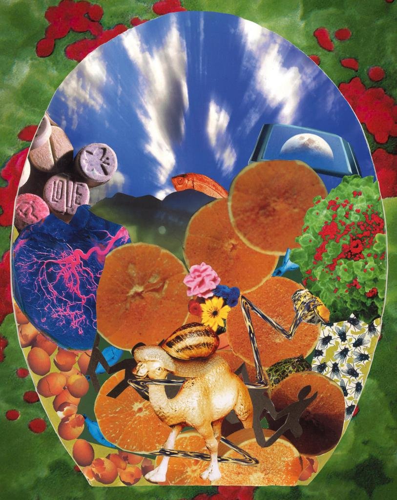 Reproduction - Extasia mon Leurre